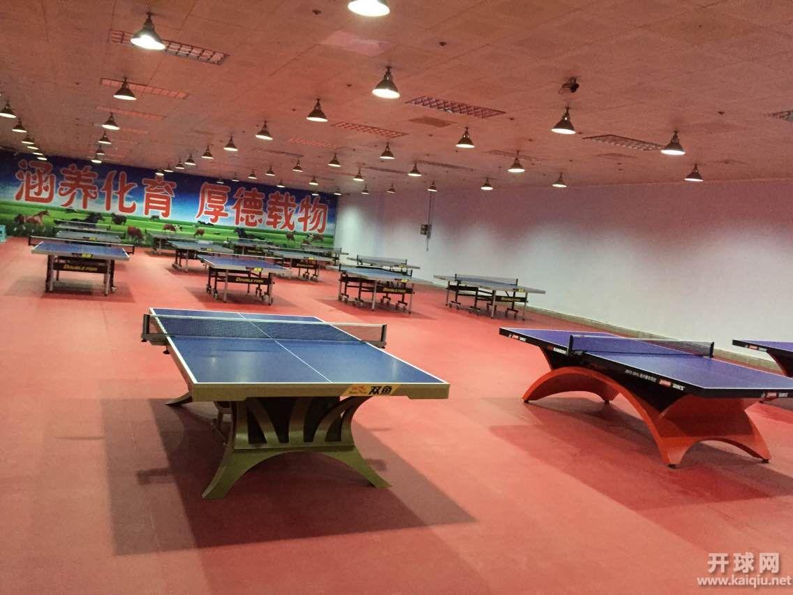 首届北京市“涵育”杯小学生乒乓球系列赛