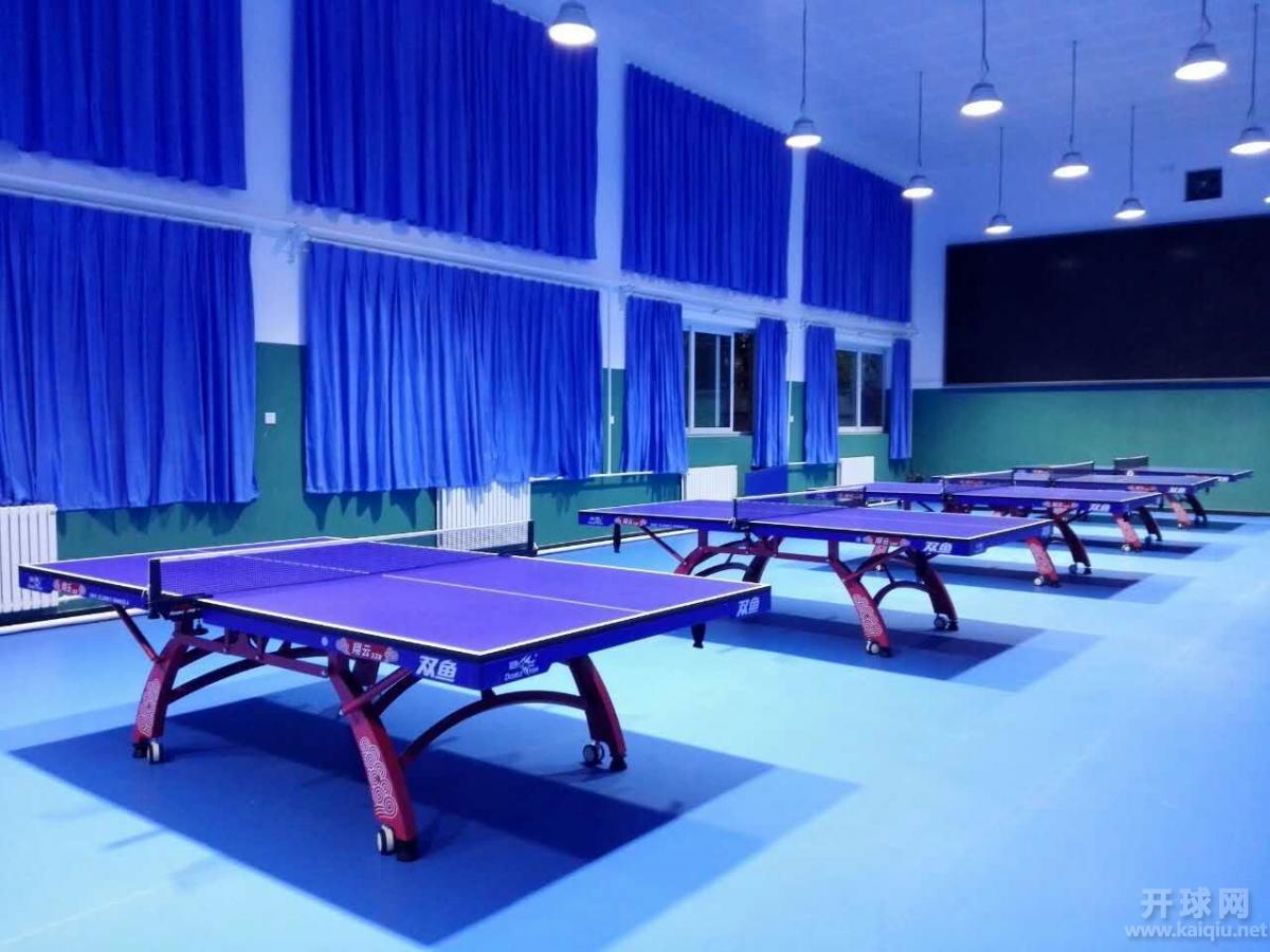 20161029中滩中学ChinaTT“耐克阿迪”杯OPEN（A）组大奖赛！